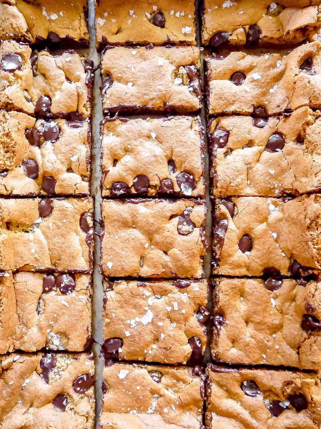Dairy-free chocolate chip cookie bars freshly cut.
