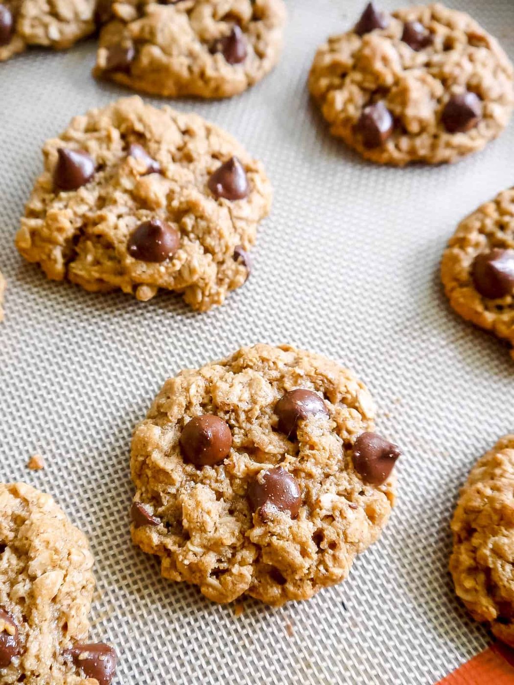 Oatmeal almond flour cookies fresh out of the oven and on a cookie sheet.