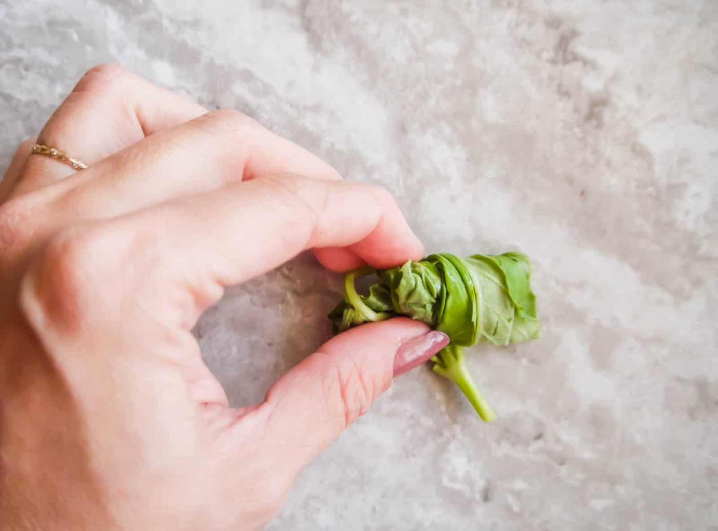 Rolled basil leaves.