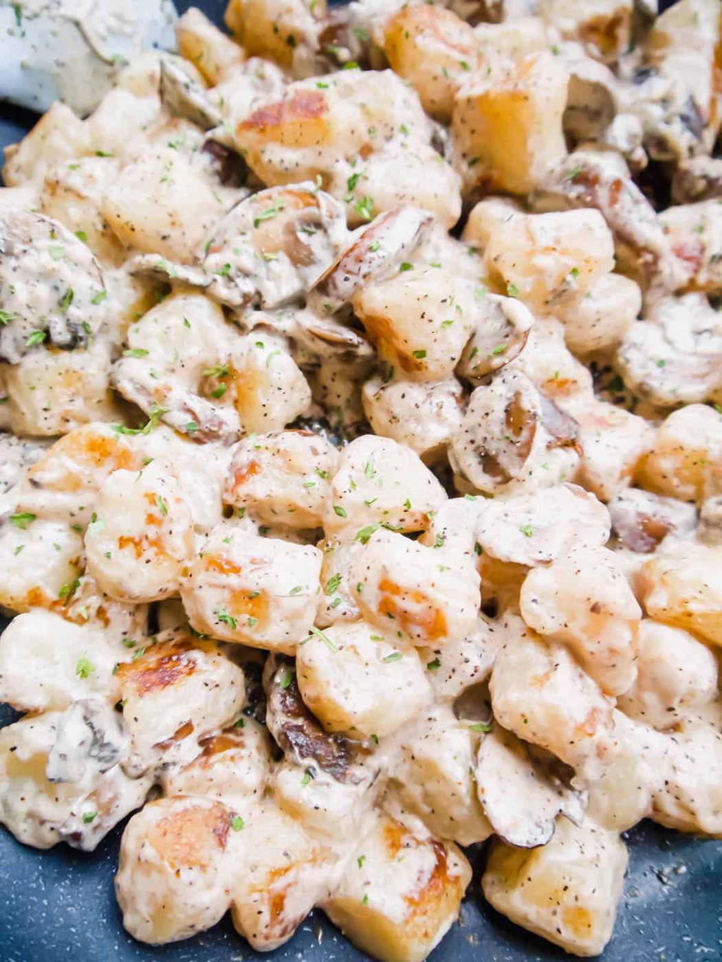 Trader joe's cauliflower gnocchi recipe with coconut cream mushroom sauce.