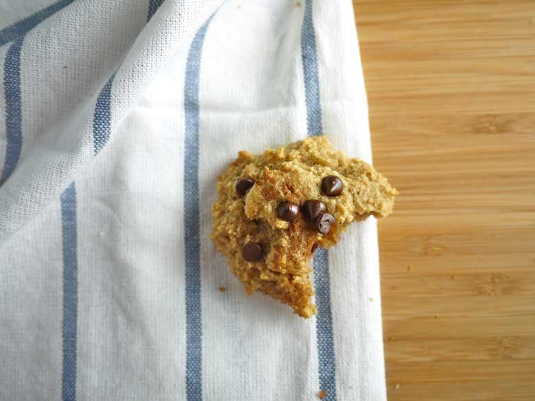 Chocolate Chip Cinnamon Cookies (paleo, GF)