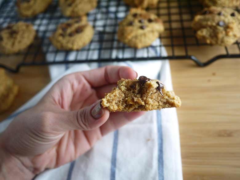 Chocolate Chip Cinnamon Cookies (paleo, GF)