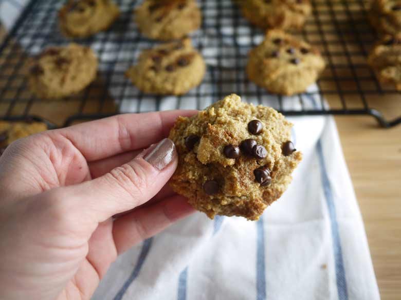 Chocolate Chip Cinnamon Cookies (paleo, GF)