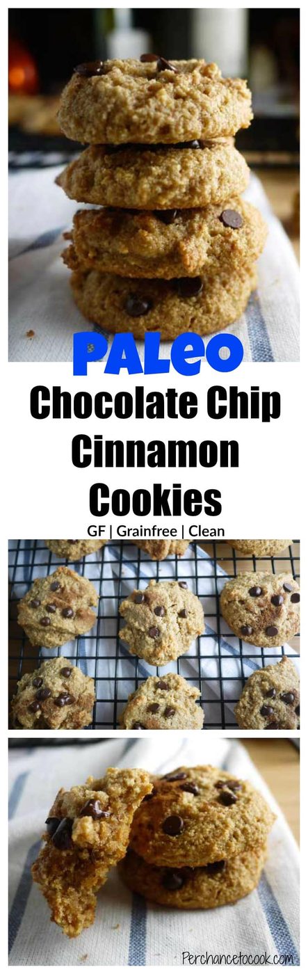 Chocolate Chip Cinnamon Cookies (paleo, GF)