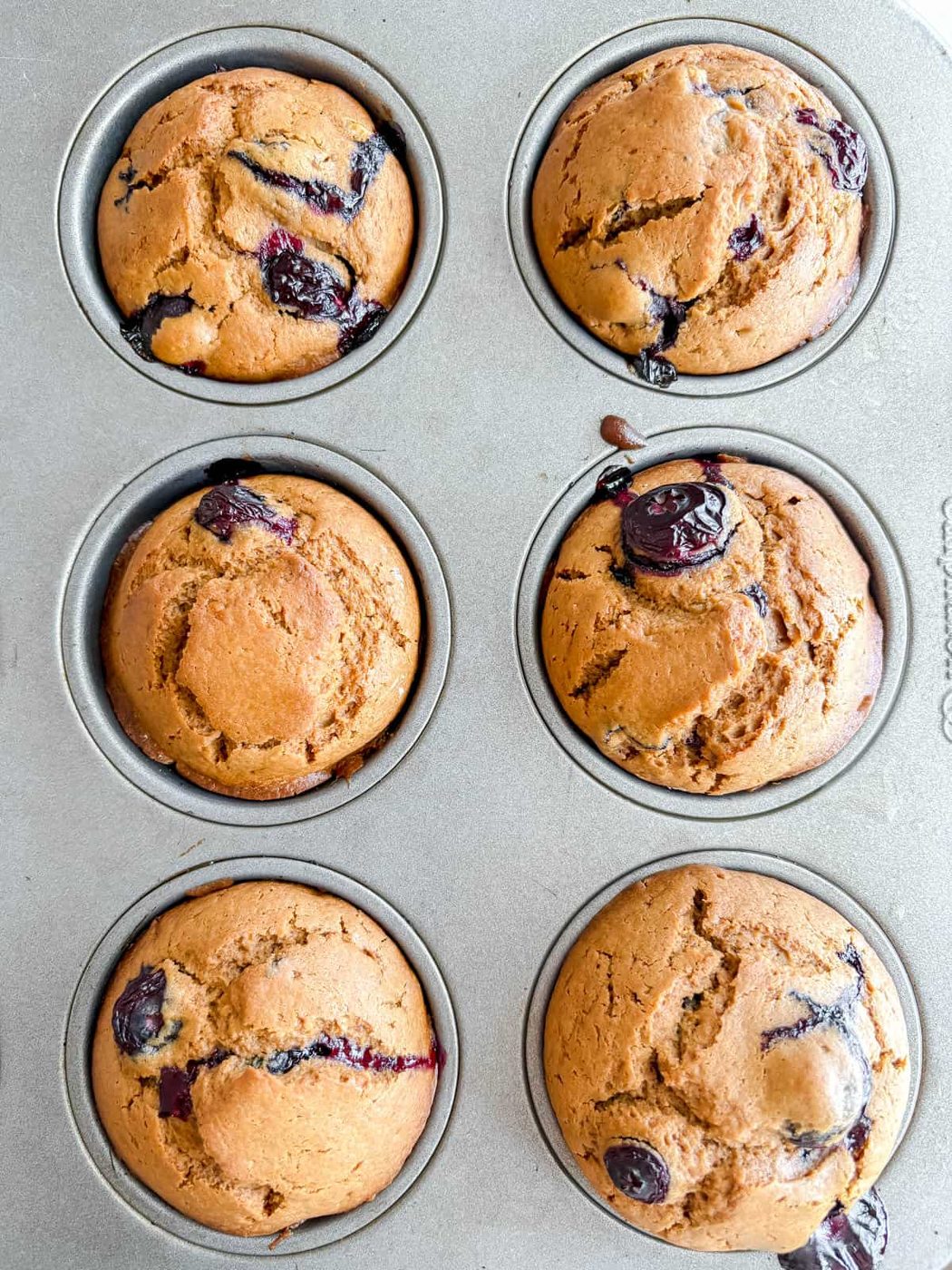 Dairy-free blueberry muffins after baking.