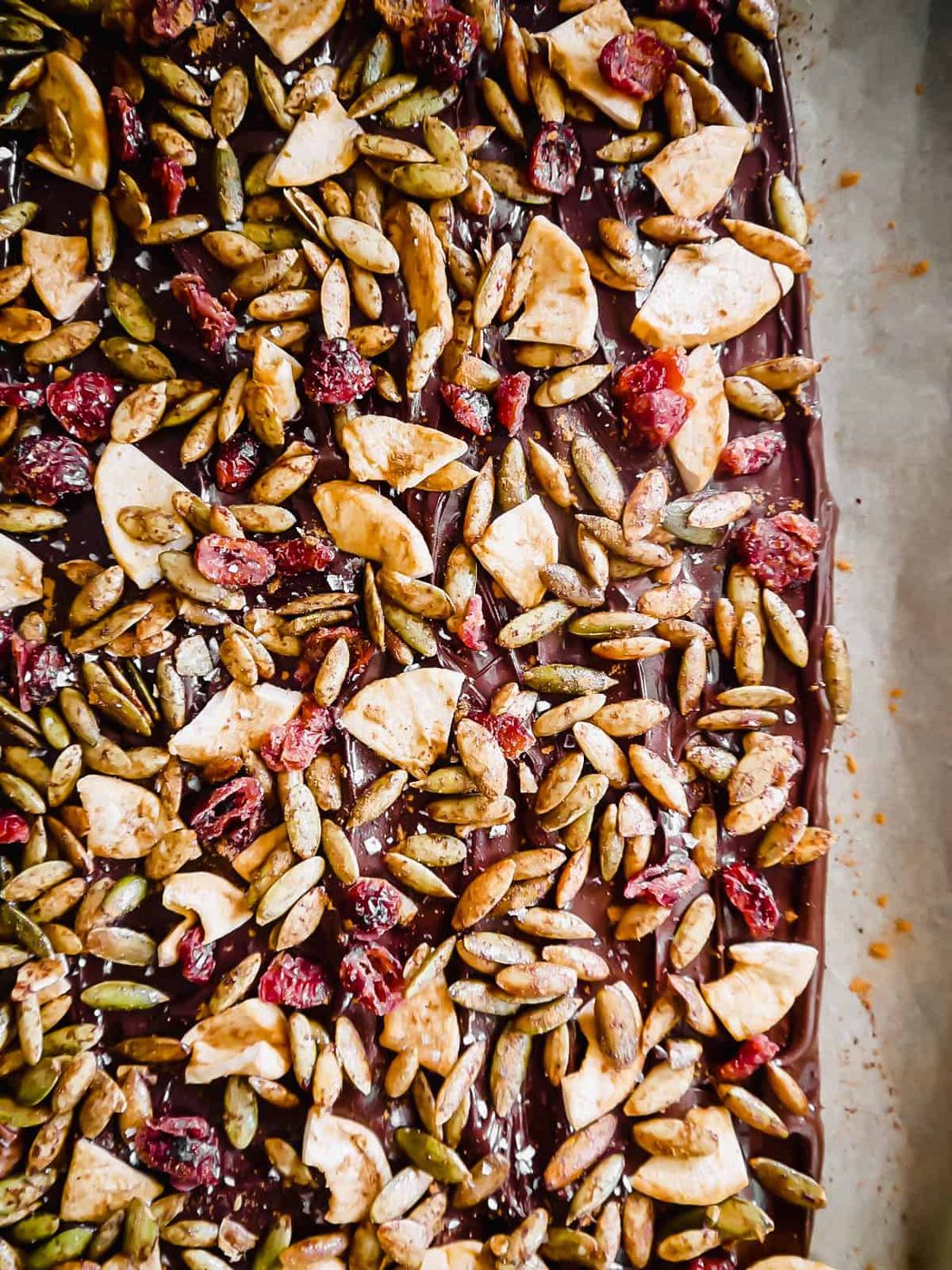 Photo of melted chocolate with pepitas, cranberries and apple on top.
