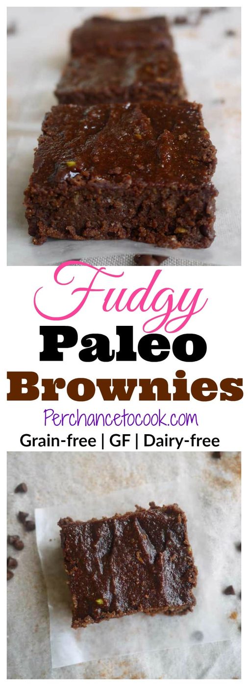 Fudgy Paleo Brownies (GF)