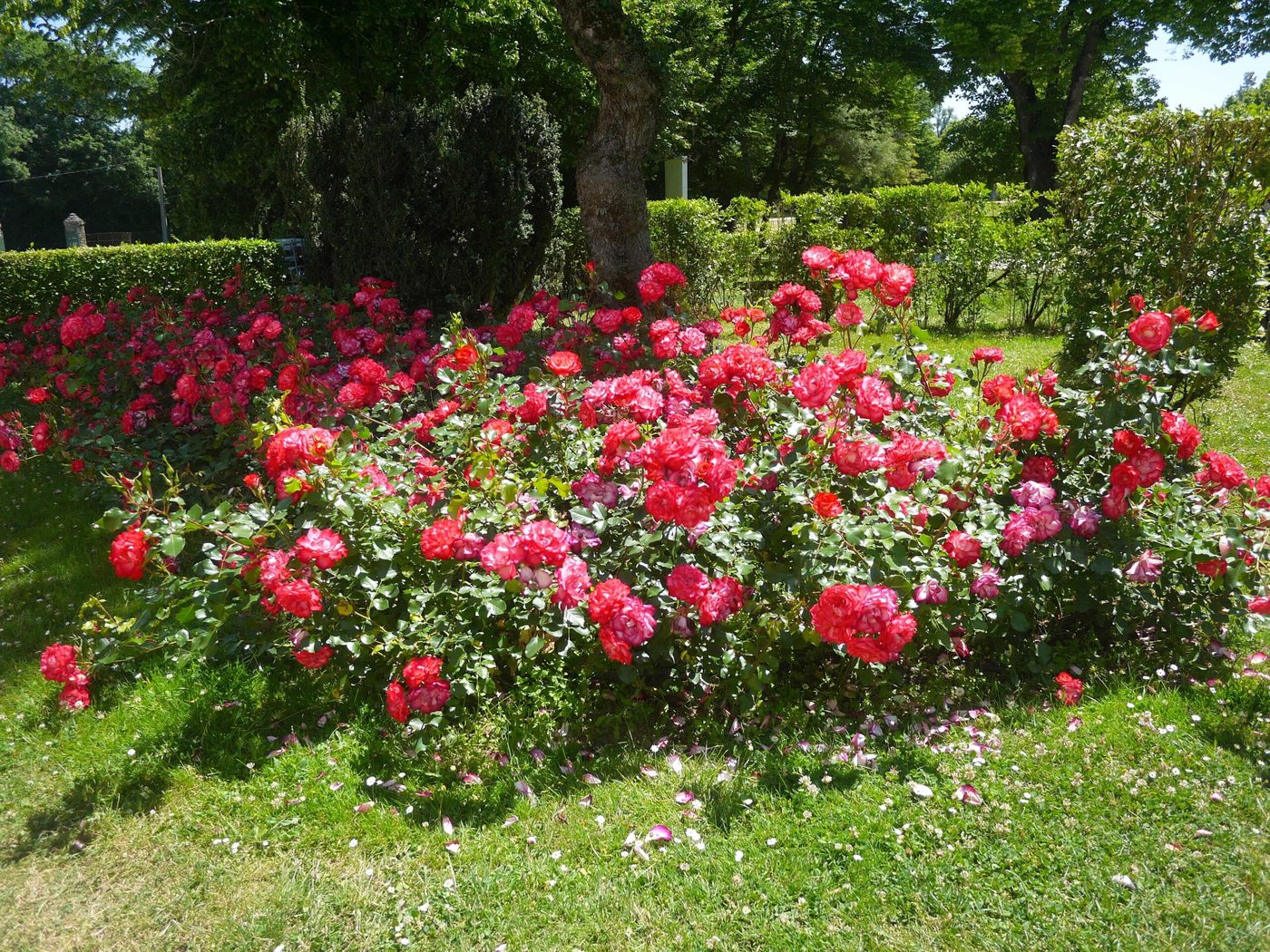 Château de la Roche Courbon