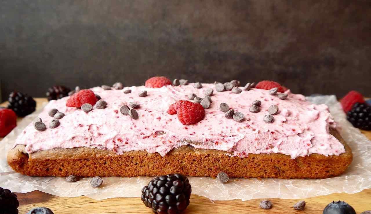 Small Paleo Raspberry Chocolate Chip Cake with Raspberry Frosting