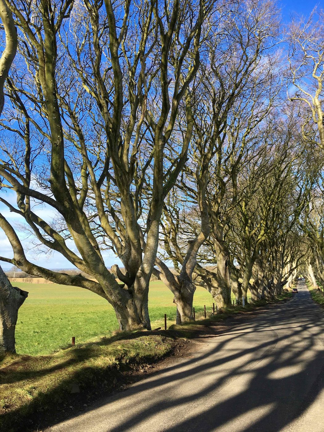 Northern Ireland County Antrim