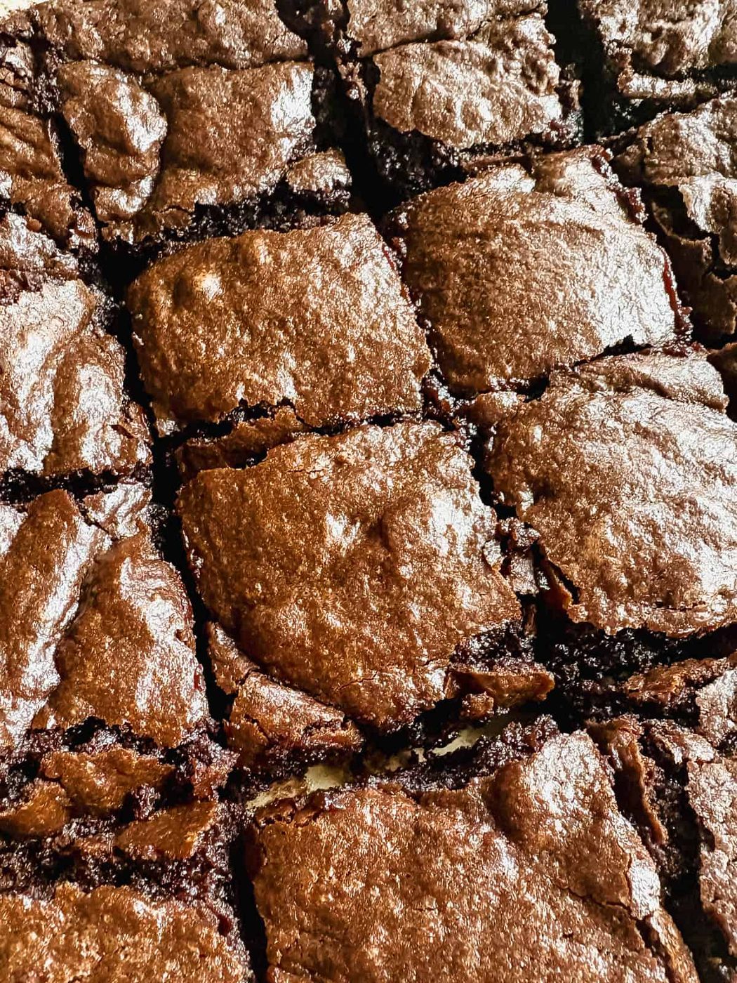 Olive Oil Brownies
