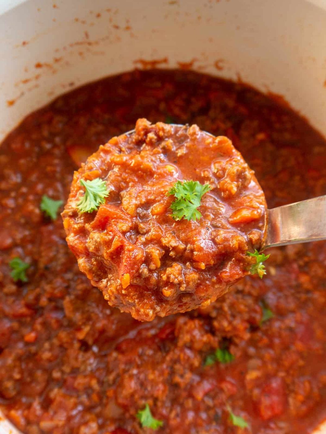 Finished bison bolognese in a laddle.