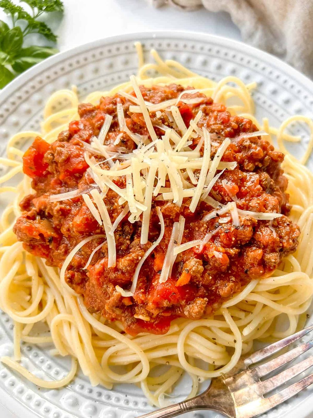 Bison Bolognese