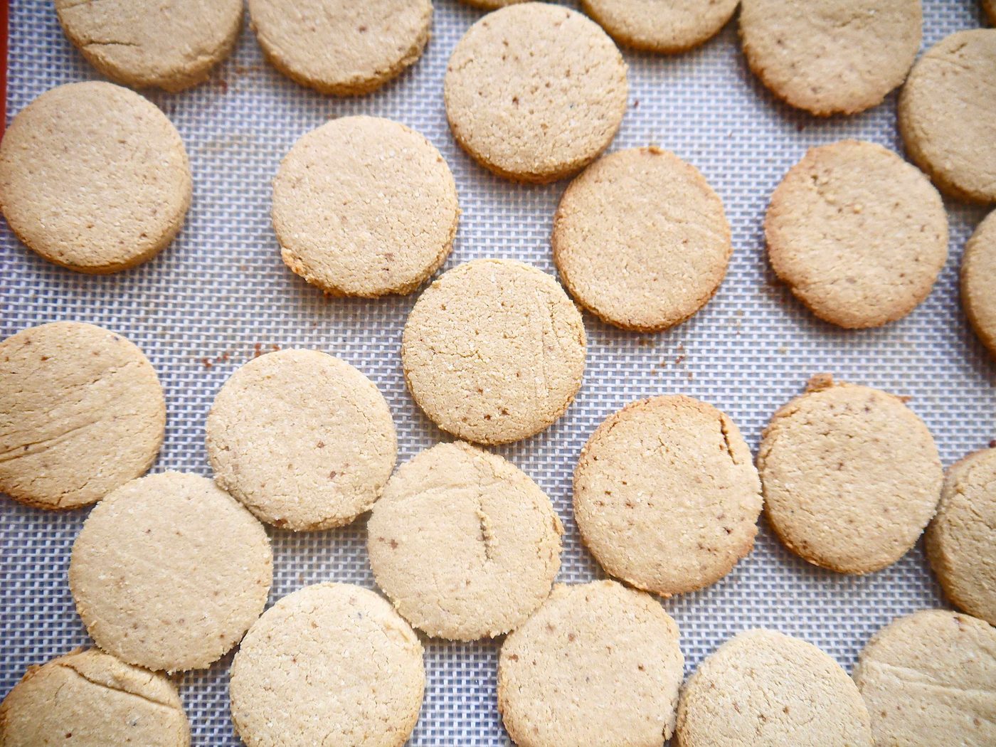 Paleo vanilla cookies freshly baked.