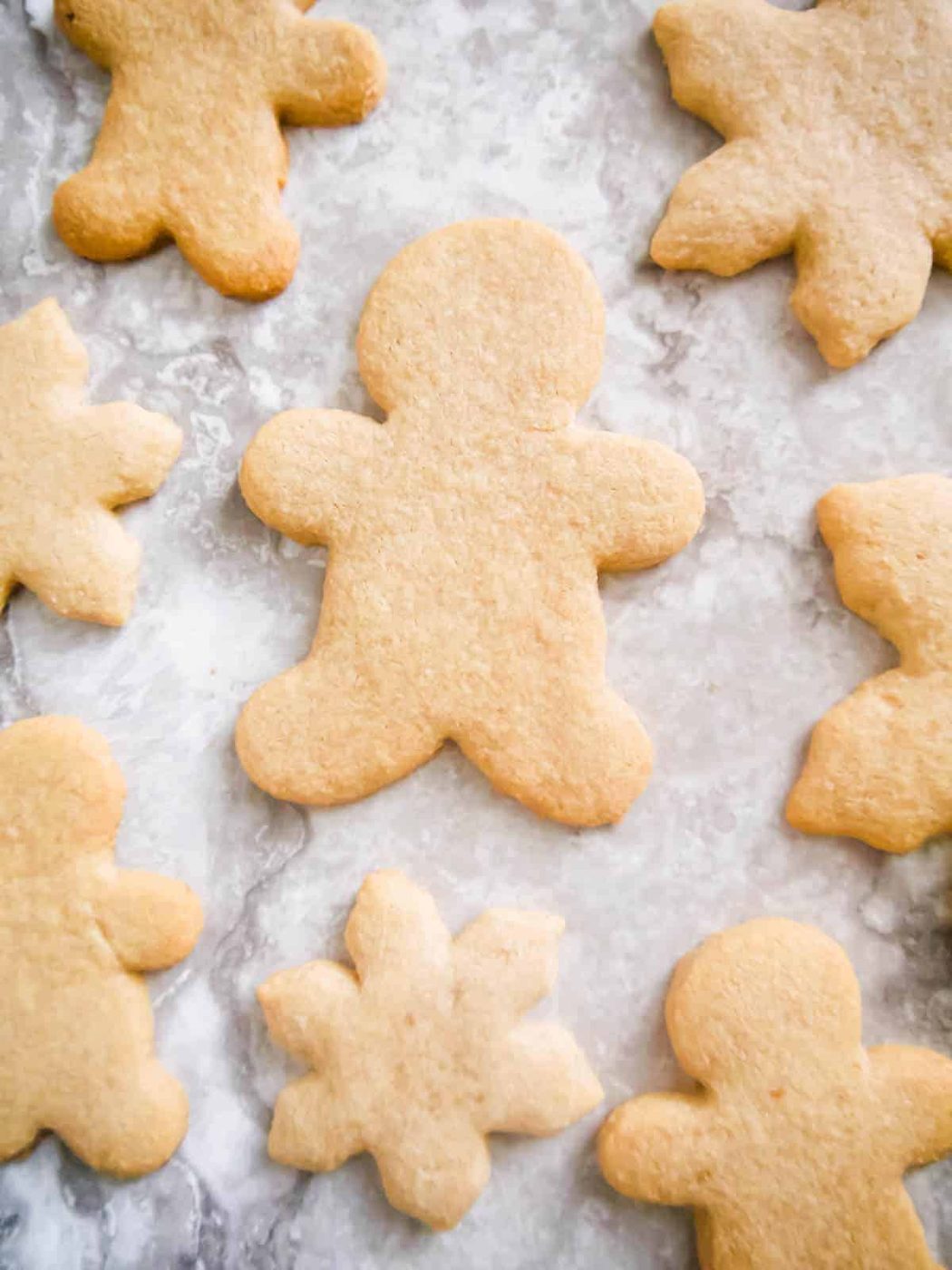 Paleo sugar cookies made with maple sugar.