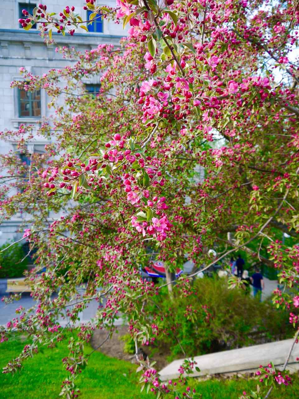 Quebec Province: Old Quebec City