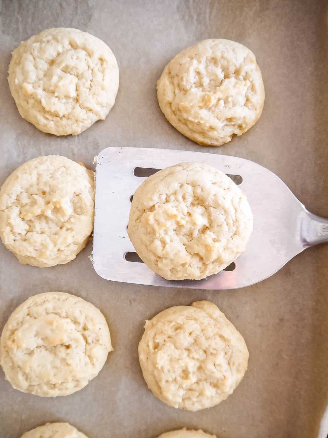 Spatula lifting up one olive oil sugar cookie.