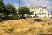 Beyond La Rochelle A Journey Through Historic Towns Châteaux and Wine Country