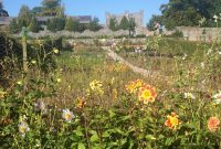 Irish Heartlands & Wedding Bells: A Journey Through Kilkenny, Cashel, and Durrow