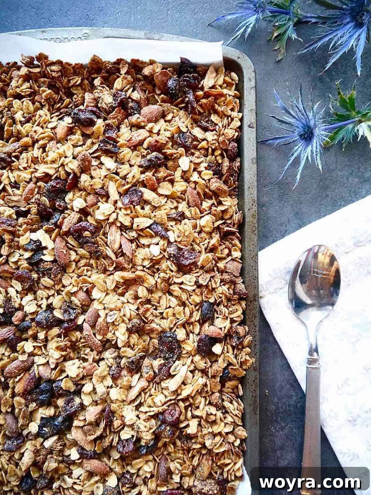 Artisan Olive Oil Granola Almonds and Chia 11 A baking pan filled with golden-brown, freshly baked olive oil granola, cooling and ready to be broken into crunchy pieces.