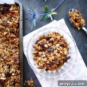 Artisan Olive Oil Granola Almonds and Chia 12 Olive oil granola in a bowl.