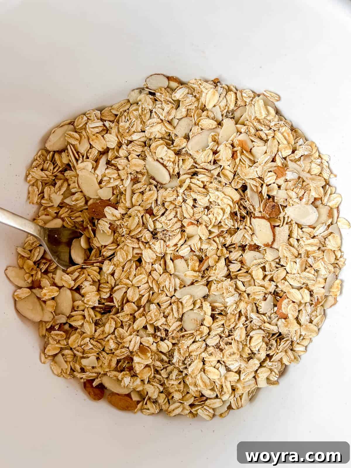 Artisan Olive Oil Granola Almonds and Chia 5 A close-up view of the thoroughly combined dry ingredients for chia seed granola within a mixing bowl, showcasing the even distribution of oats, nuts, and spices.