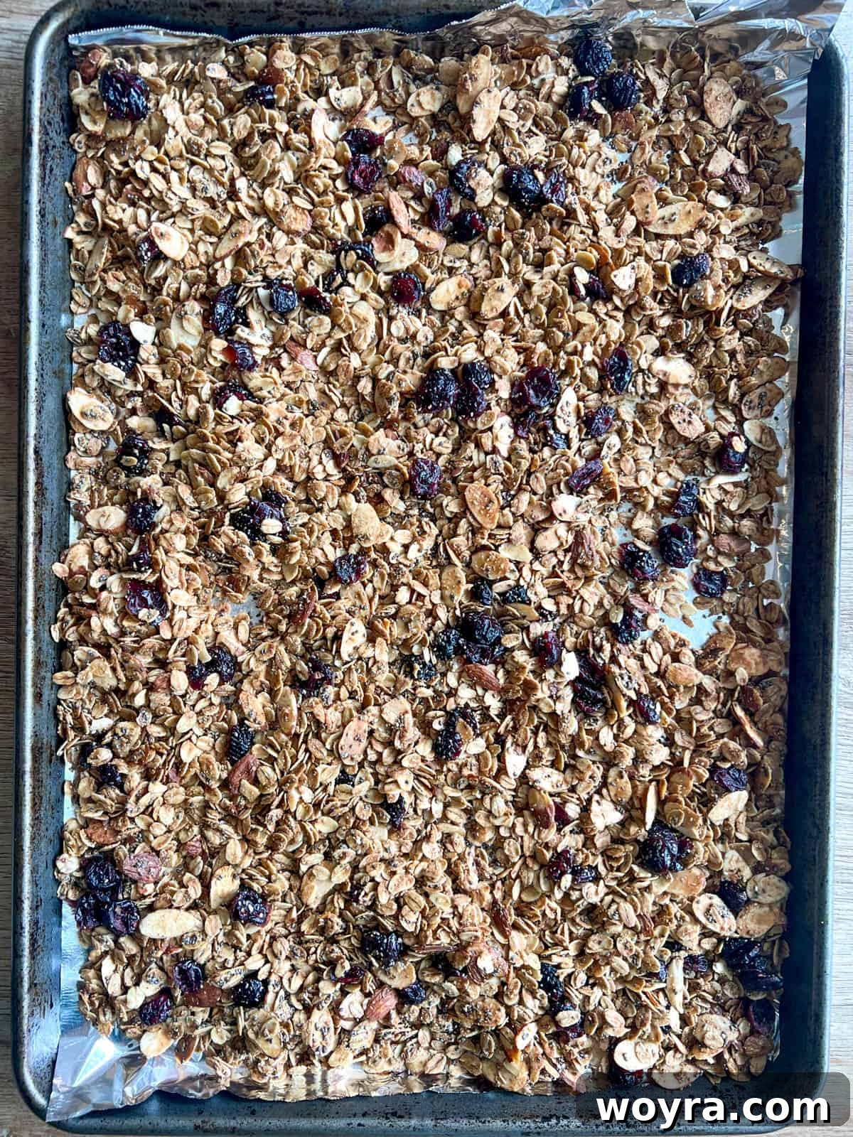 Artisan Olive Oil Granola Almonds and Chia 10 Finished, golden-brown homemade olive oil granola with almonds and chia seeds, perfectly crisp and cooled on a baking sheet, ready for storage or serving.