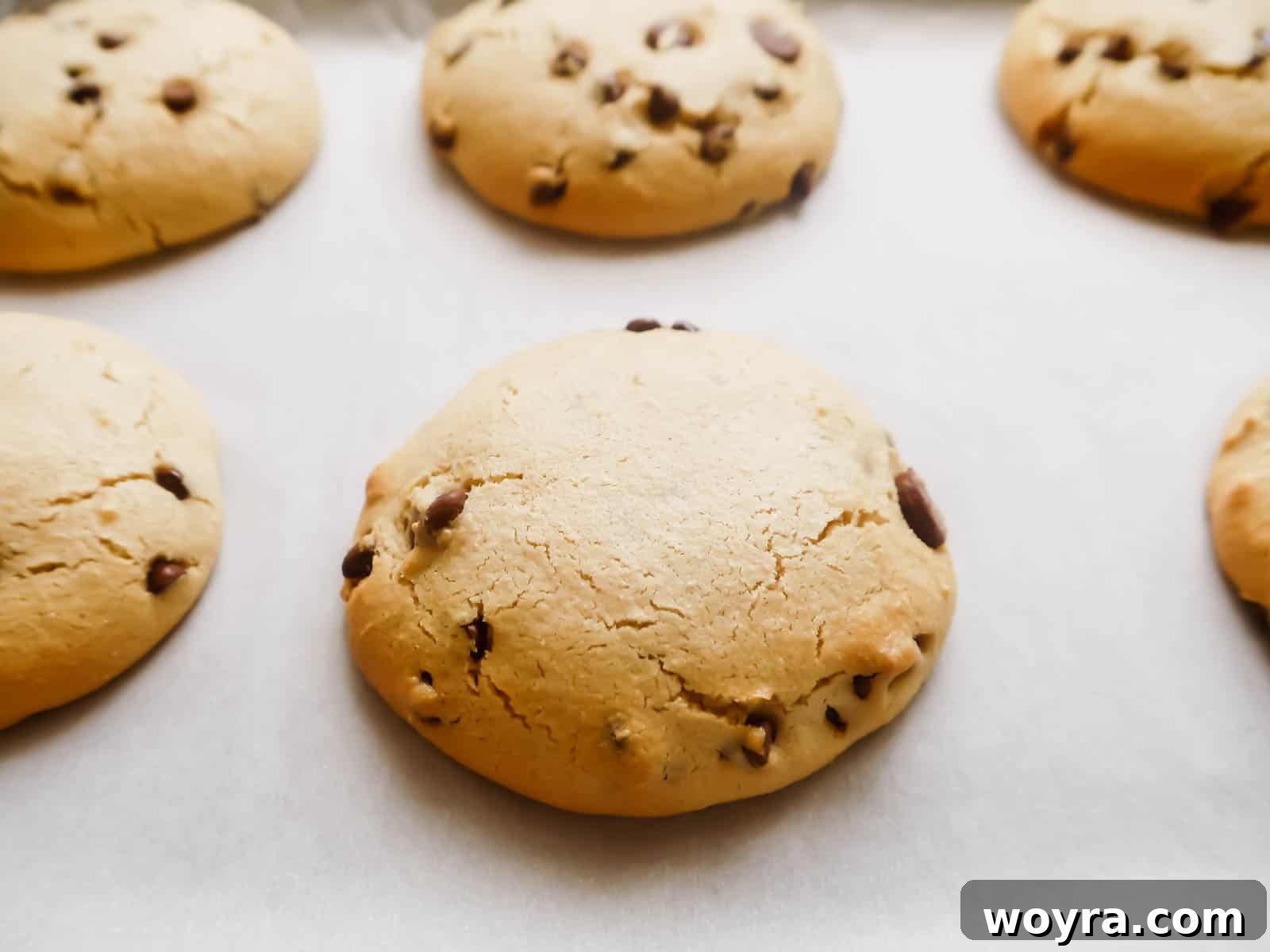 Freshly baked paleo chocolate chip cookies, golden brown and puffed, cooling on a baking sheet after being removed from the oven.