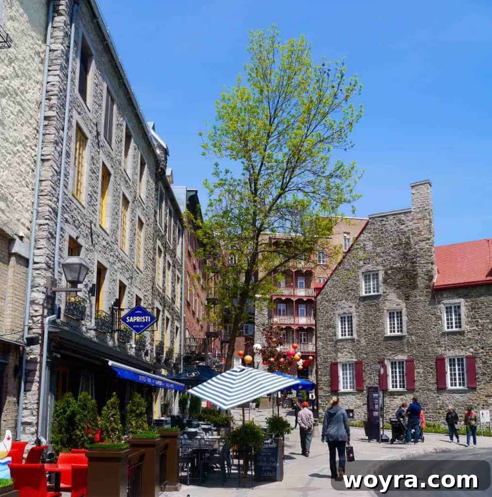 Historic Old Quebec City 21 A charming street in Quebec City lined with small shops and local establishments