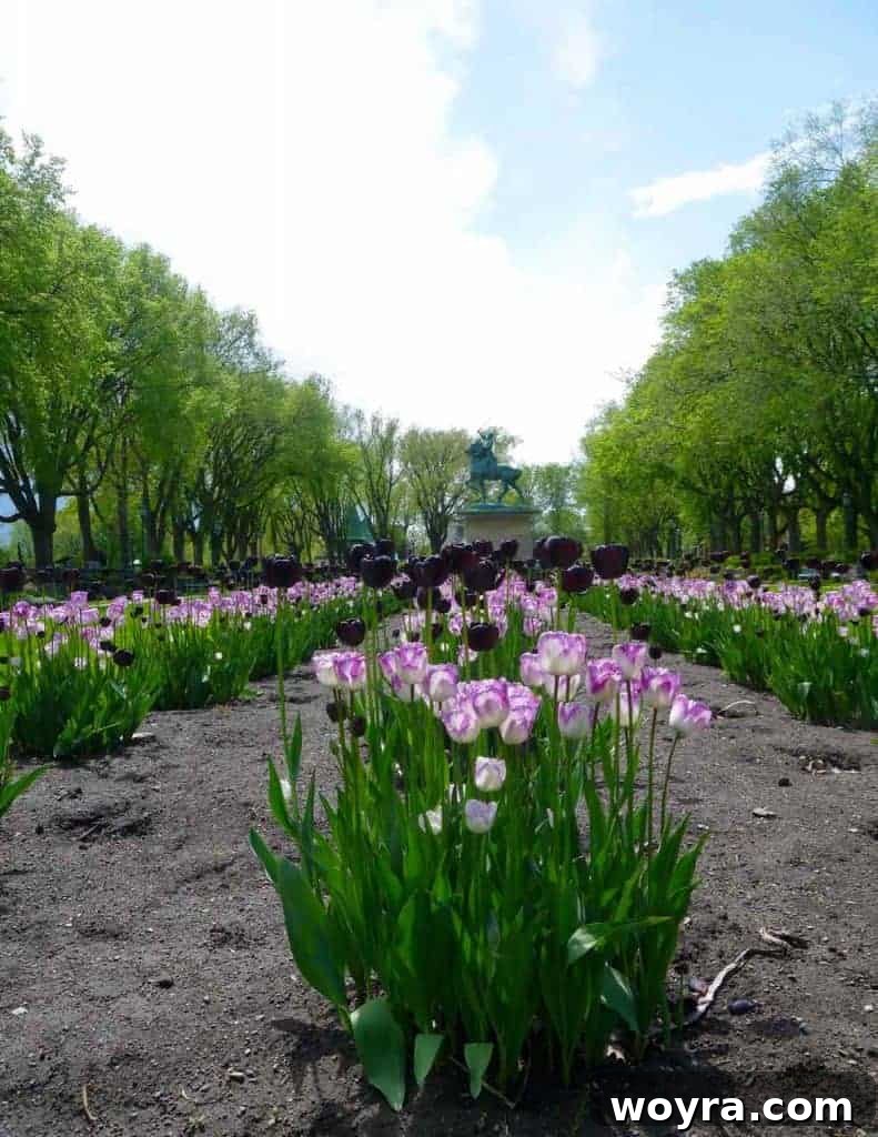 Historic Old Quebec City 34 Lush floral arrangements and green spaces in Quebec City, creating a serene ambiance