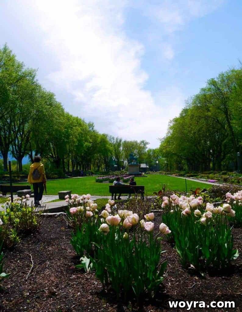 Historic Old Quebec City 37 A picturesque pathway through a verdant park in Quebec City, inviting strolls