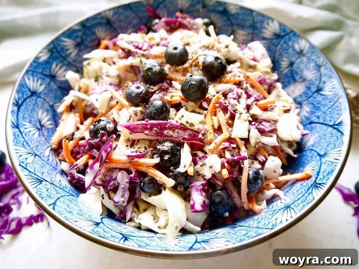 Wholesome Blueberry Chia Coleslaw Paleo and Dairy-Free 2 Healthy coleslaw made with blueberries and chia seeds.