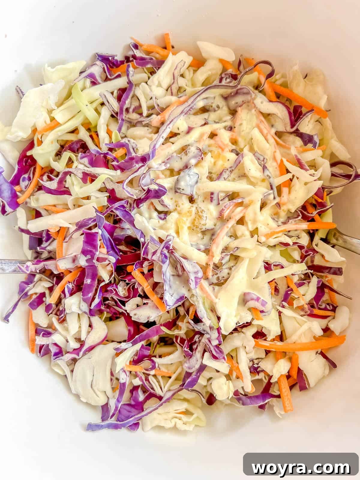 Wholesome Blueberry Chia Coleslaw Paleo and Dairy-Free 5 Cabbage, carrots and dressing in a bowl.