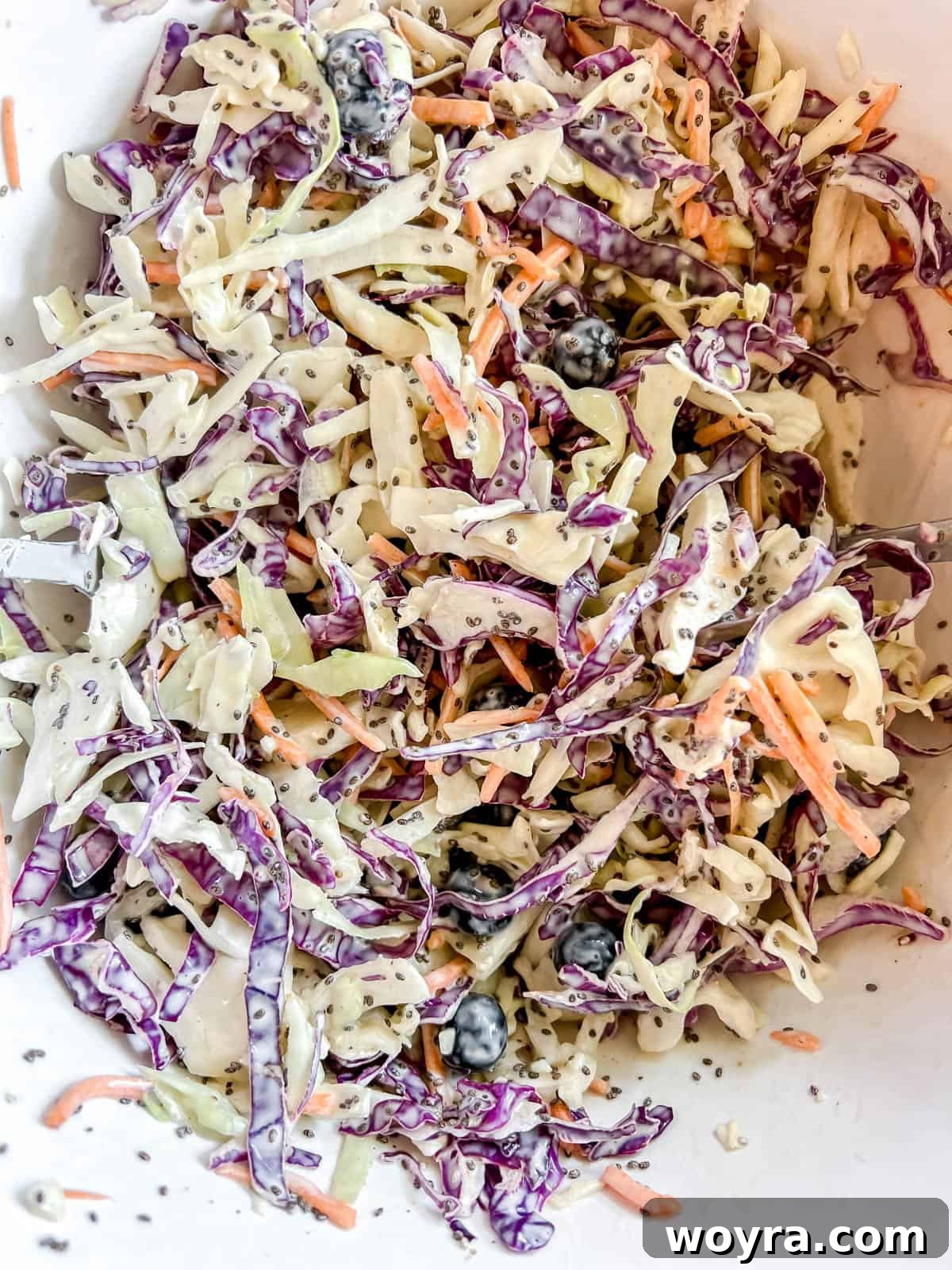 Wholesome Blueberry Chia Coleslaw Paleo and Dairy-Free 7 Coleslaw with fruit mixed together.