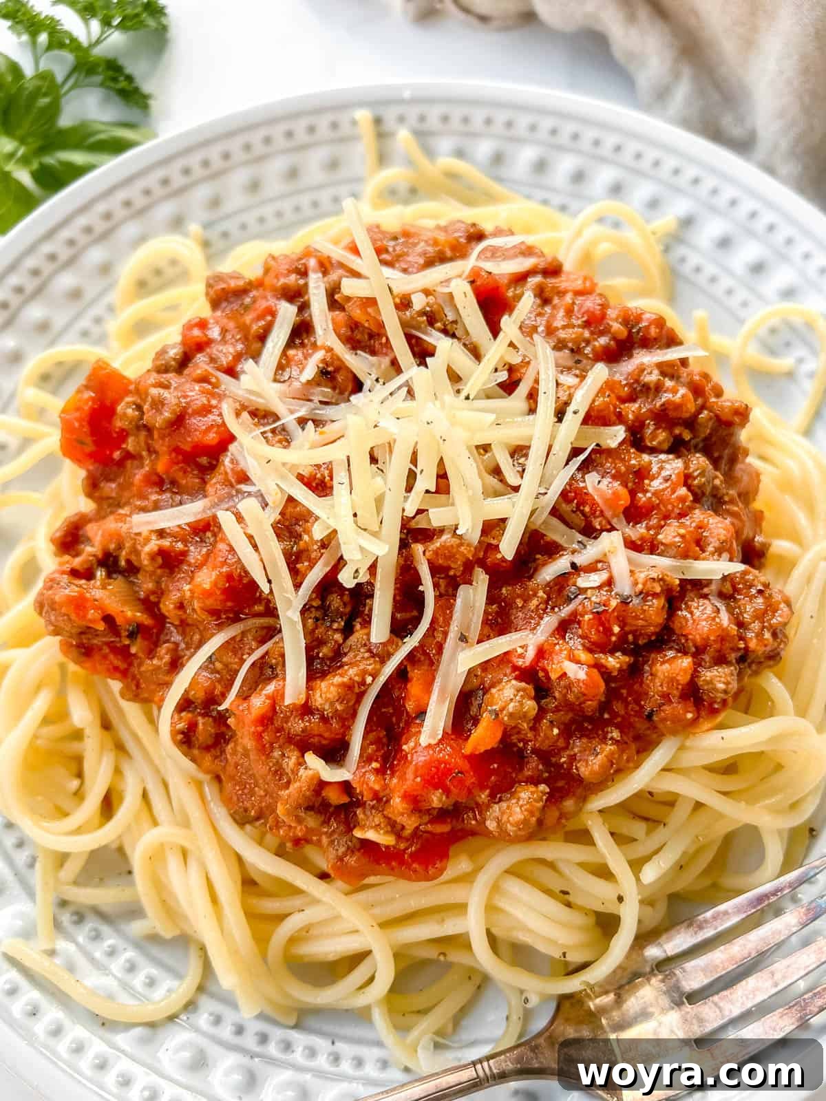 Wild Bison Ragu 2 Bison bolognese mixed into spaghetti on a plate.