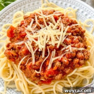Bison bolognese mixed into spaghetti on a plate.
