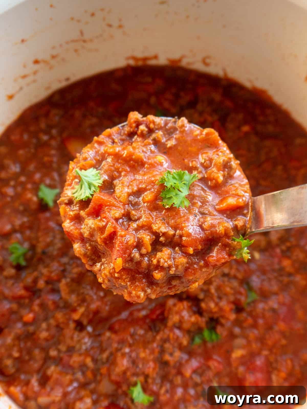 Wild Bison Ragu 10 Finished bison bolognese in a laddle.