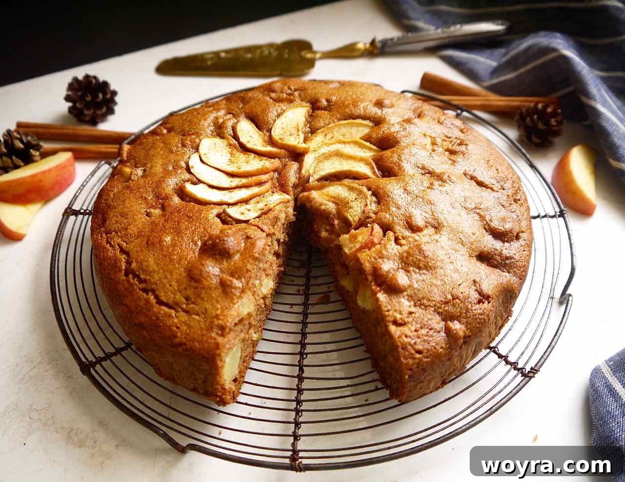 Paleo Apple Almond Cake 3 A perfectly baked slice of healthy apple cake, showing moist texture and apple pieces.