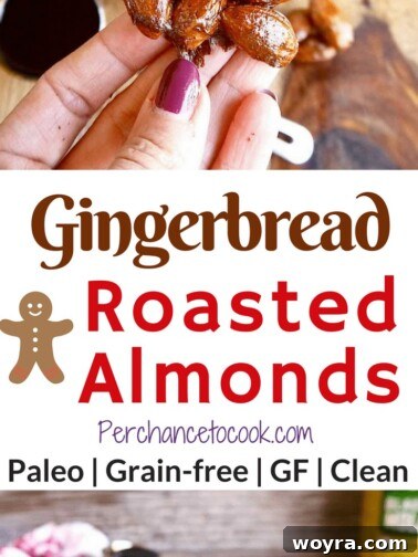 Gingerbread Spice Roasted Almonds 6 Hand holding a handful of Gingerbread Roasted Almonds
