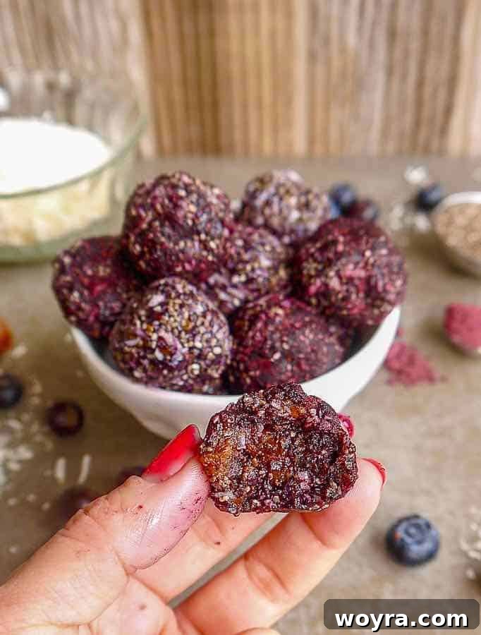 Paleo Vegan Blueberry Date Power Bites 2 Delicious Blueberry Date Energy Balls for a healthy snack.
