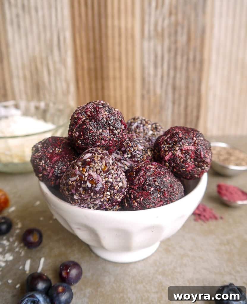 Paleo Vegan Blueberry Date Power Bites 4 Ingredients for Blueberry Date Energy Balls blended in a food processor.