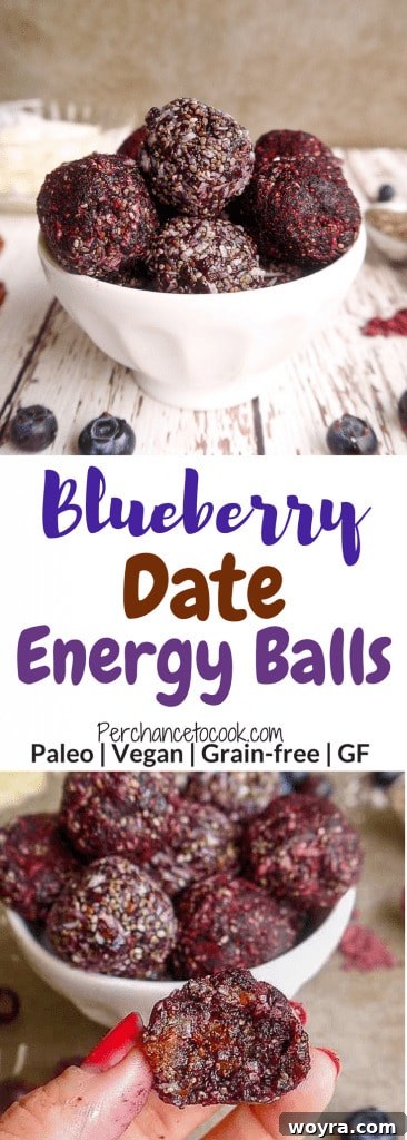 Paleo Vegan Blueberry Date Power Bites 6 Basket of Blueberry Date Energy Balls.