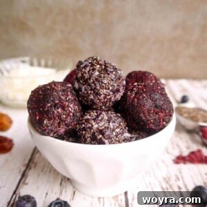 Blueberry Date Energy Balls (Paleo, Vegan)