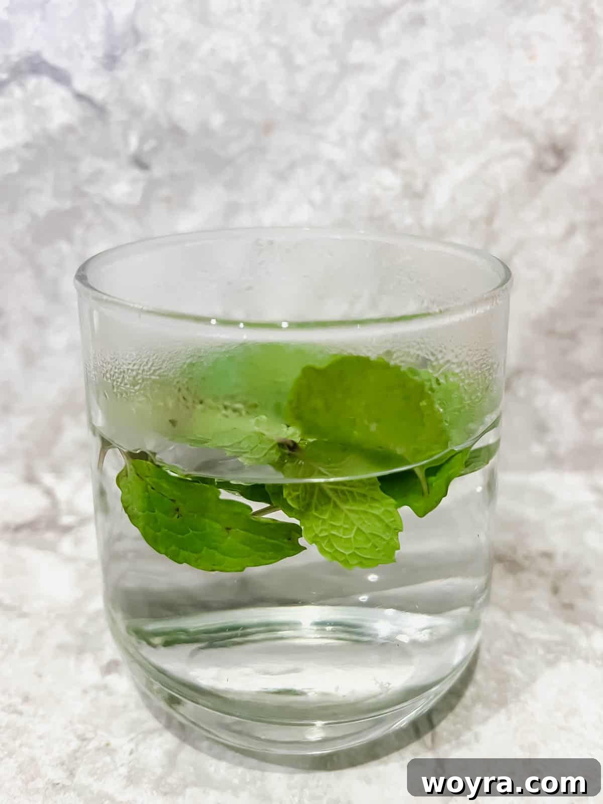 Minty Refreshment Brewed Simple 5 Hot water in a glass with mint leaves inside.