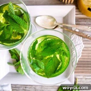 Easy Fresh Mint Tea (Paleo, GF) | Perchance to Cook, www.perchancetocook.com