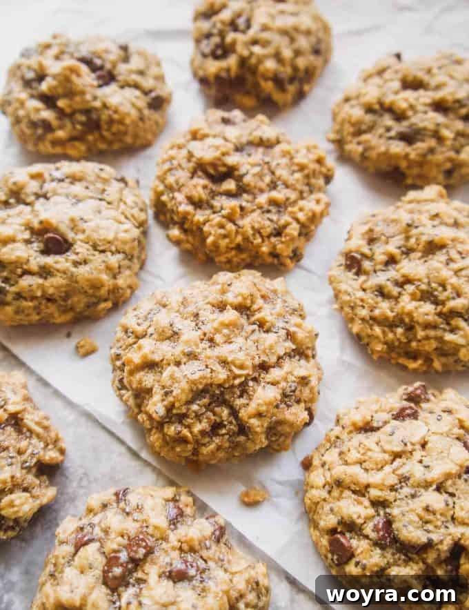 Wholesome Gluten Free Chia Oatmeal Cookies 2 Irresistible Gluten-Free Chia Oatmeal Cookies, perfectly baked and ready to enjoy.