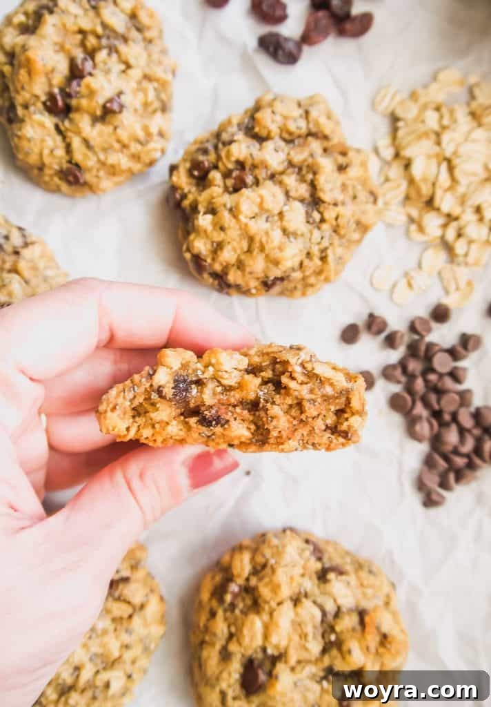 Wholesome Gluten Free Chia Oatmeal Cookies 4 Artfully arranged Gluten-Free Chia Oatmeal Cookies, highlighting their texture and wholesome appeal.