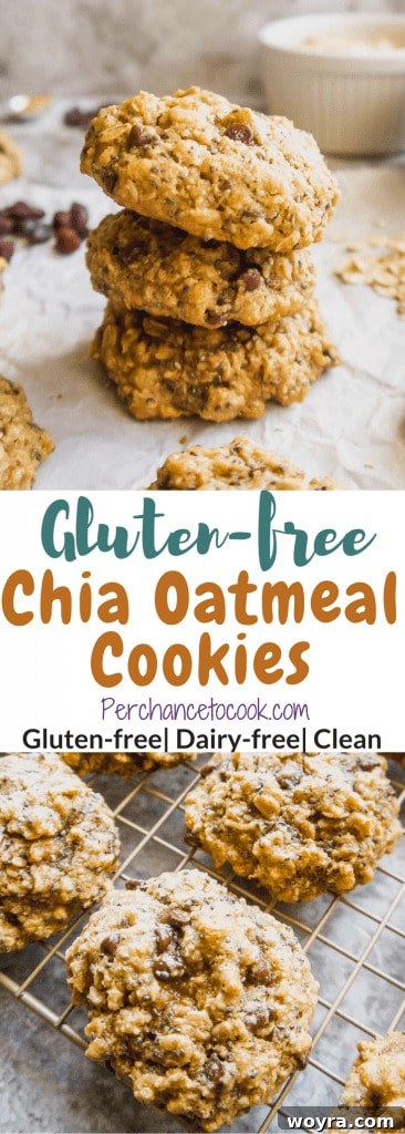Wholesome Gluten Free Chia Oatmeal Cookies 6 Freshly baked Gluten-Free Chia Oatmeal Cookies cooling on a wire rack.