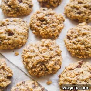 Wholesome Gluten Free Chia Oatmeal Cookies 7 Gluten-Free Chia Oatmeal Cookies, featured on Perchance to Cook.