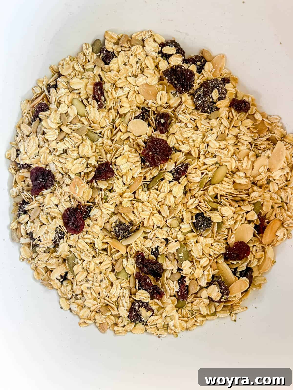 A large bowl containing a mixture of rolled oats, seeds, nuts, and dried cherries, ready for the wet ingredients.